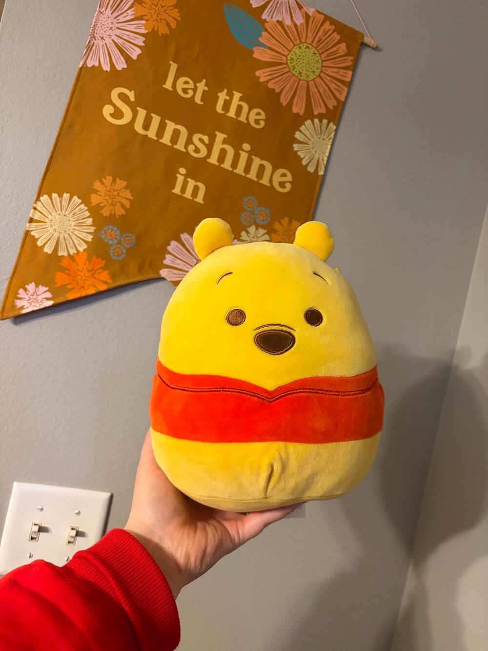 Disney Winnie the Pooh Squishmallows